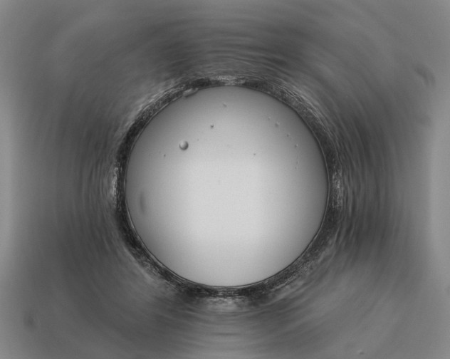 X0000115080404200911101507