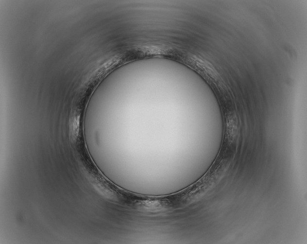 X0000115080406200911101507