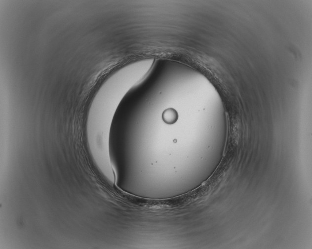 X0000115080407200911101507