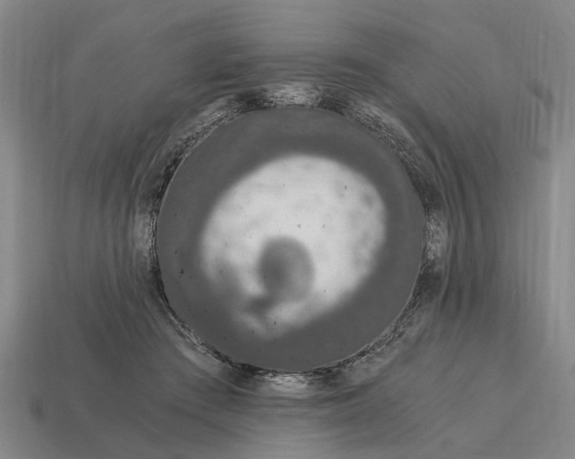 X0000115080409200911101507