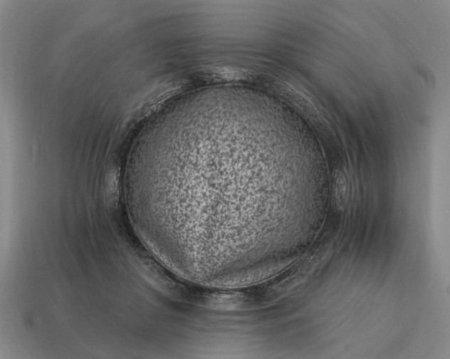 X0000115080410200911101507