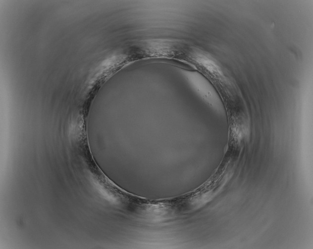 X0000115080411200911101507