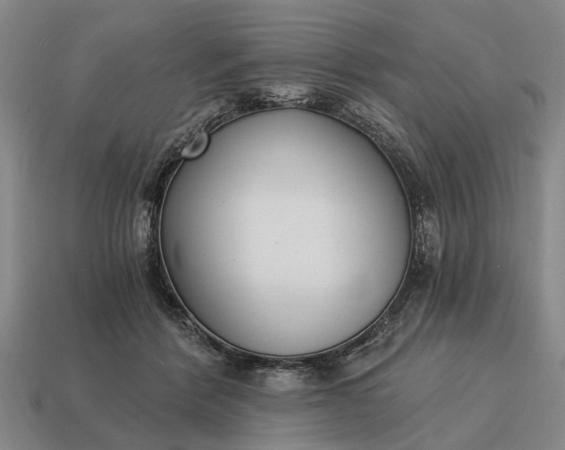 X0000115080412200911101507