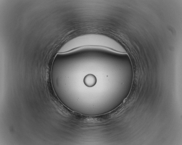 X0000115080413200911101507