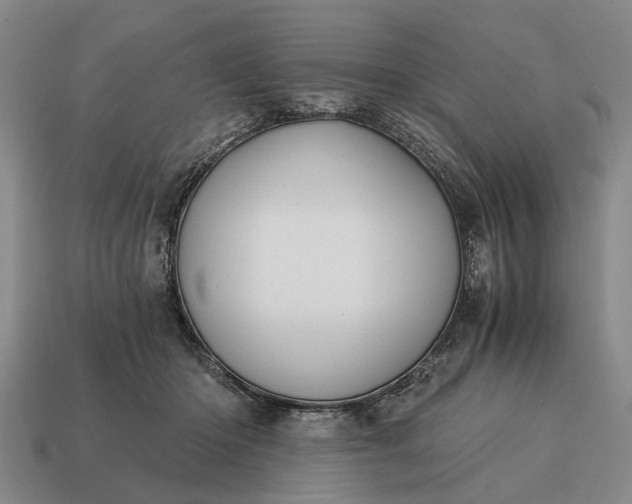 X0000115080414200911101507