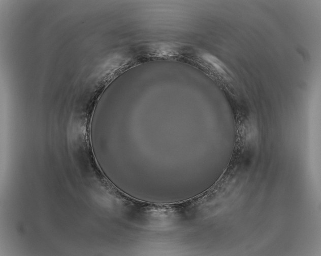 X0000115080415200911101507