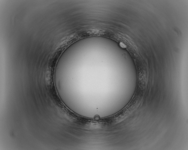 X0000115080416200911101507
