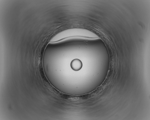 X0000115080417200911101507
