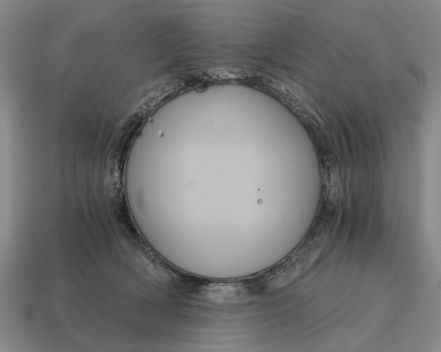 X0000115080418200911101507