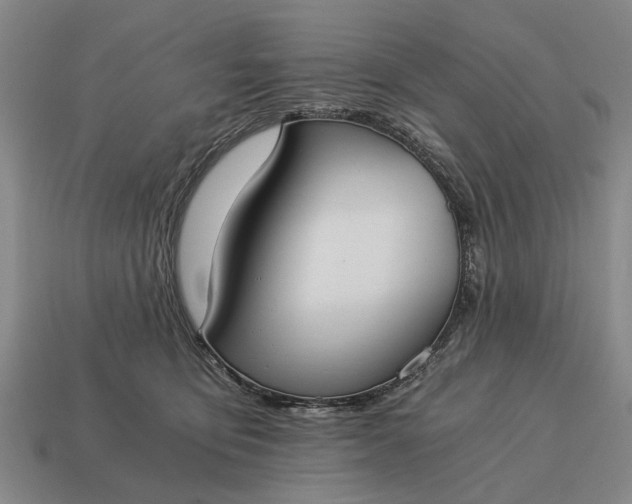 X0000115080419200911101507