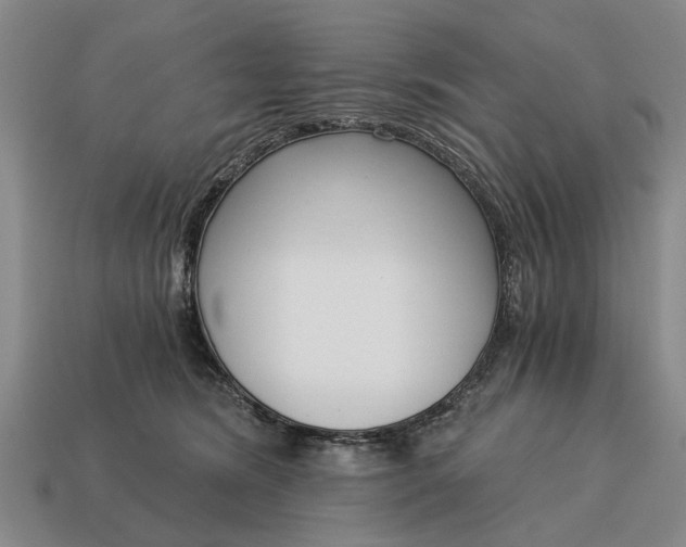 X0000115080420200911101507
