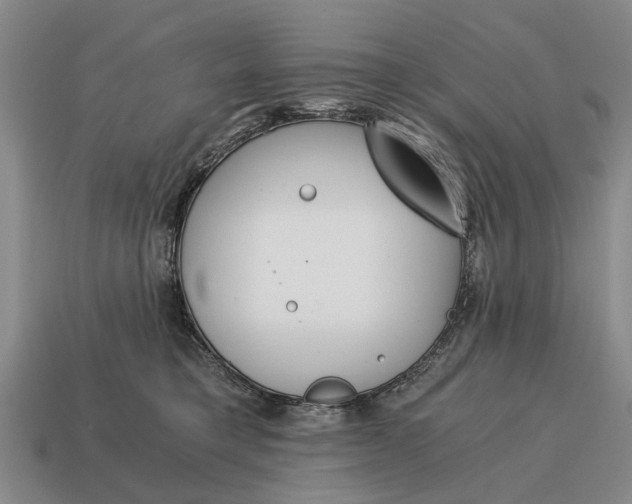 X0000115080421200911101507