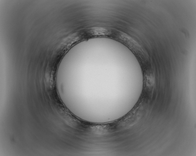X0000115080422200911101507