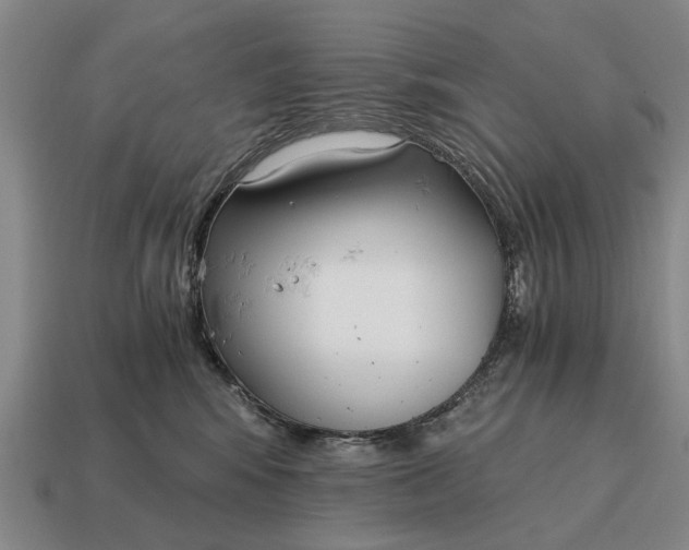 X0000115080424200911101507