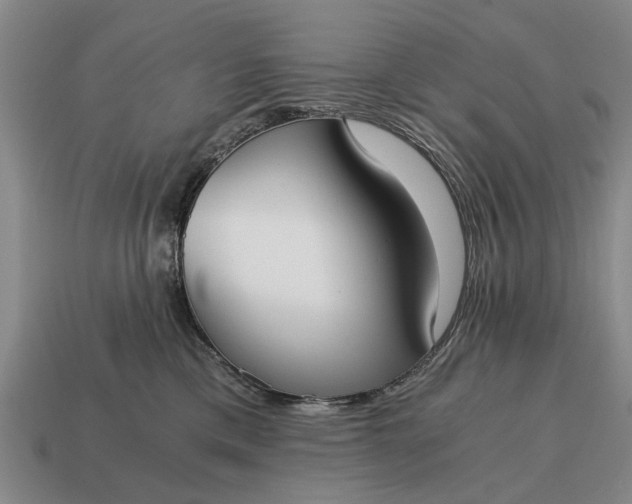 X0000115080425200911101507