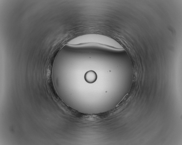 X0000115080427200911101507