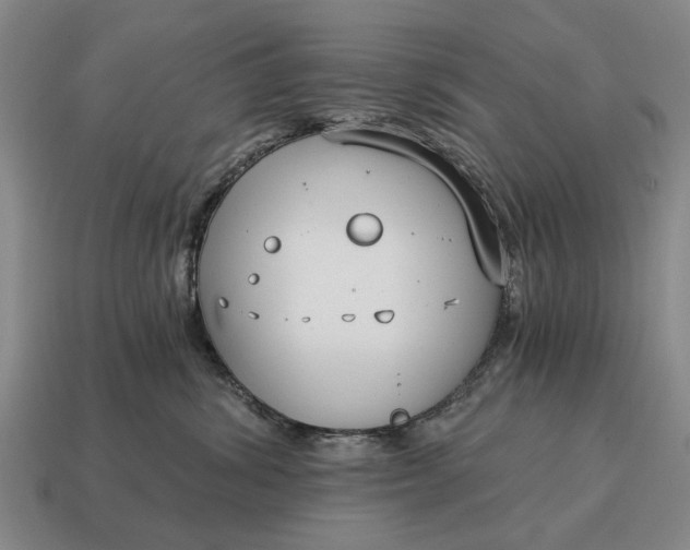 X0000115080428200911101506