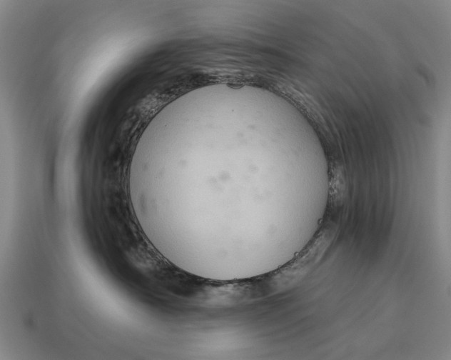 X0000115080430200911101506