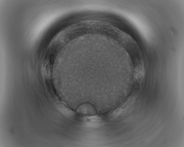 X0000115080431200911101506