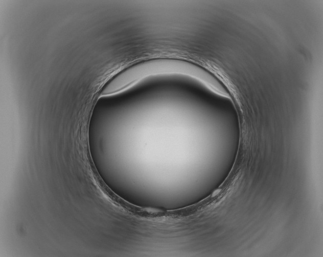 X0000115080433200911101506