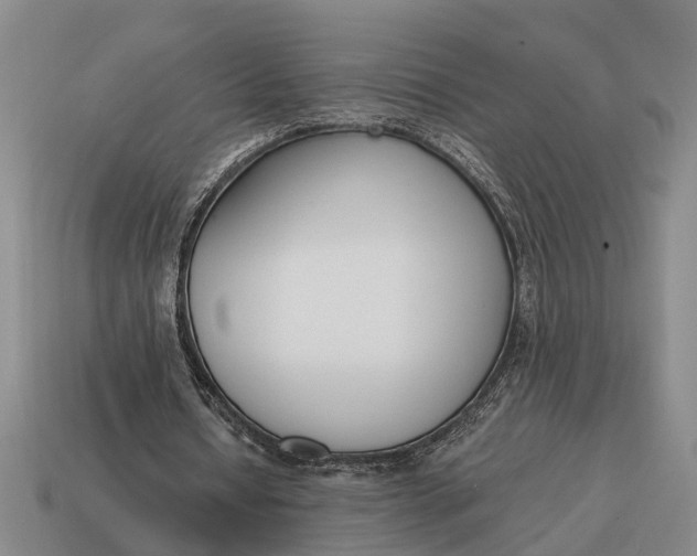 X0000115080434200911101506