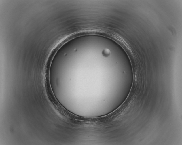 X0000115080436200911101506