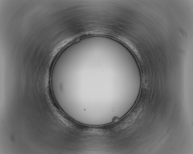 X0000115080437200911101506