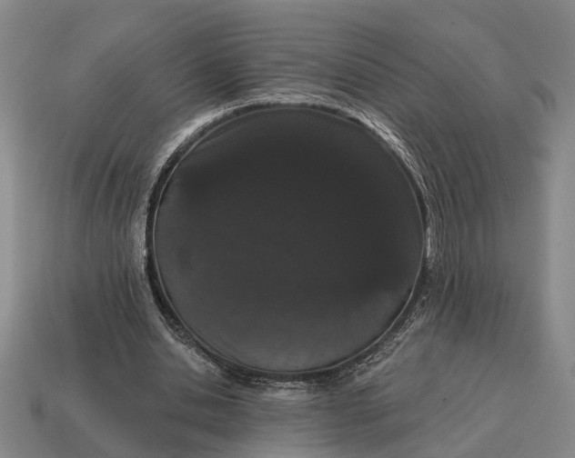 X0000115080438200911101506