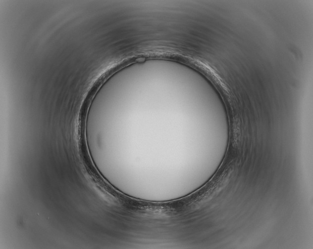 X0000115080439200911101506