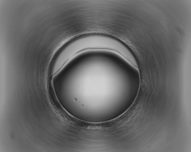 X0000115080440200911101506