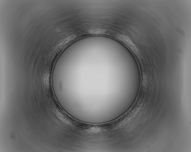 X0000115080441200911101506