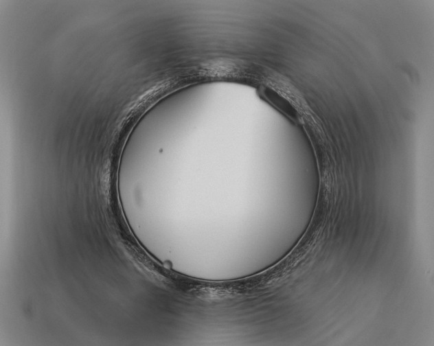 X0000115080442200911101506