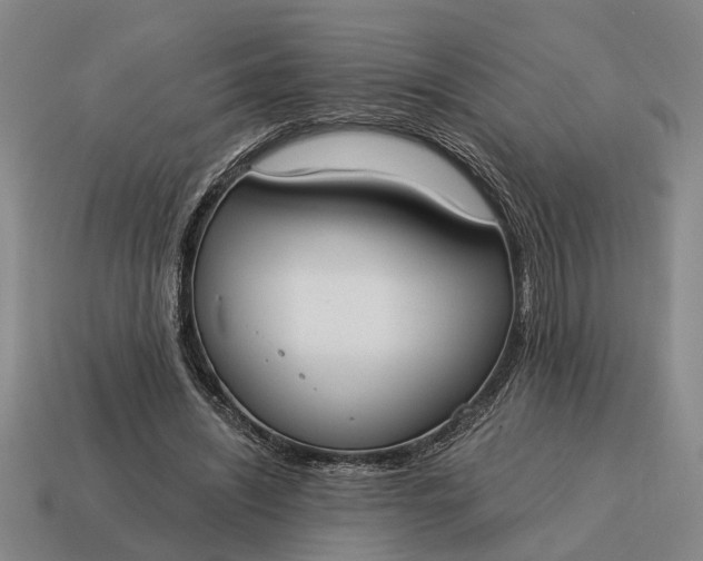 X0000115080444200911101506