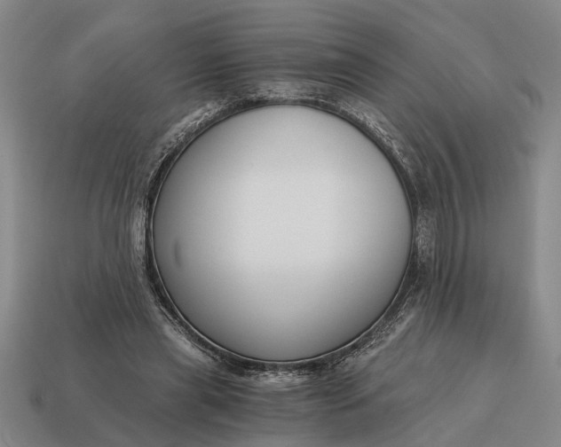 X0000115080445200911101506