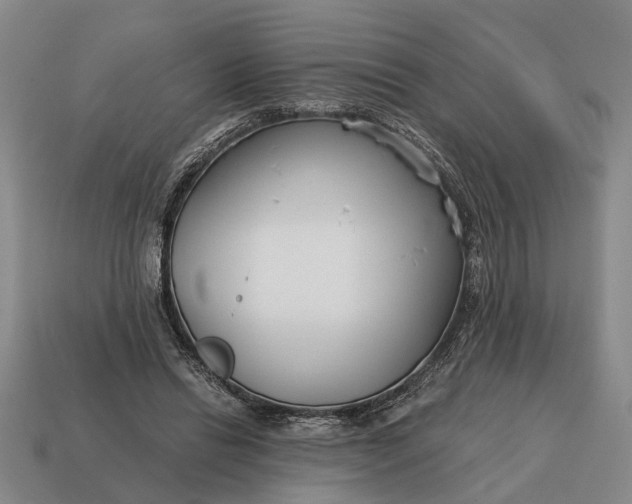 X0000115080446200911101506