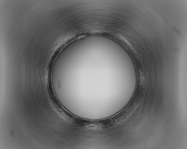 X0000115080447200911101506