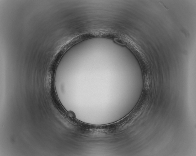 X0000115080448200911101506