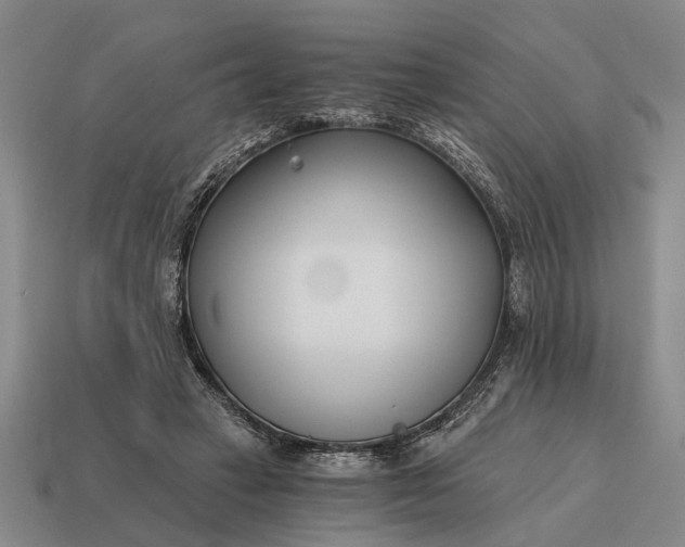 X0000115080449200911101506