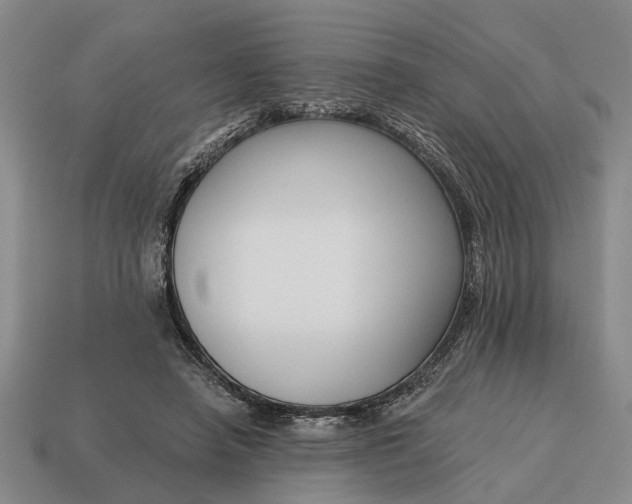 X0000115080450200911101506