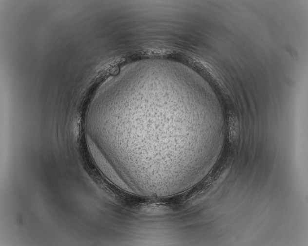 X0000115080451200911101506