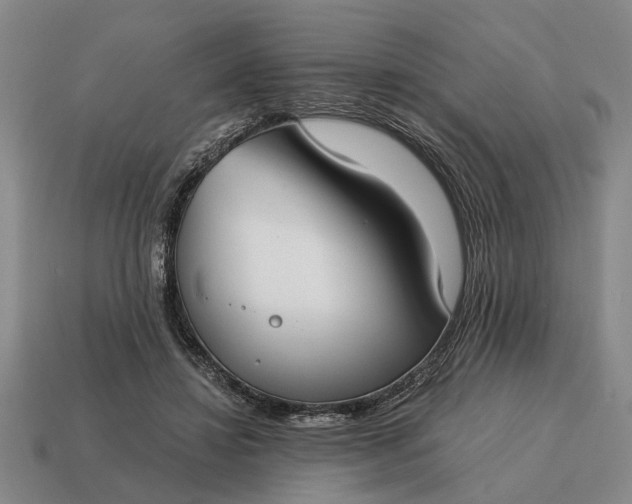 X0000115080452200911101506