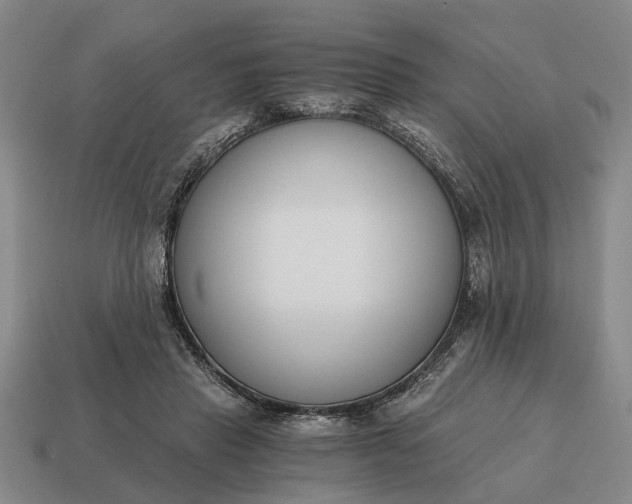 X0000115080453200911101506