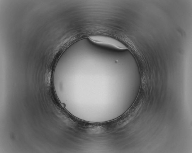 X0000115080454200911101506