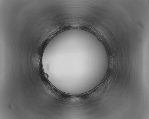 X0000115080456200911101506