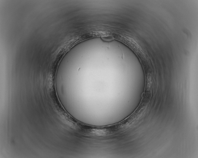 X0000115080457200911101506