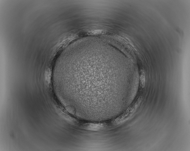 X0000115080458200911101506
