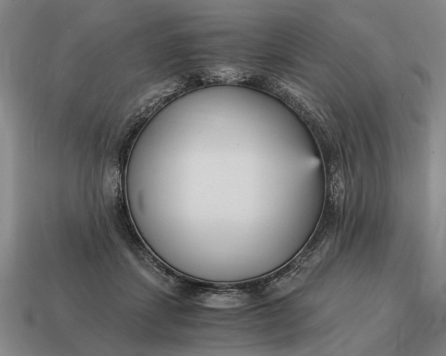 X0000115080459200911101506