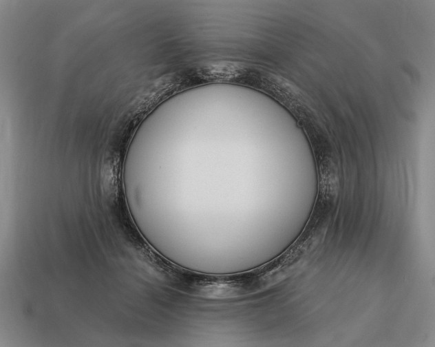 X0000115080460200911101506