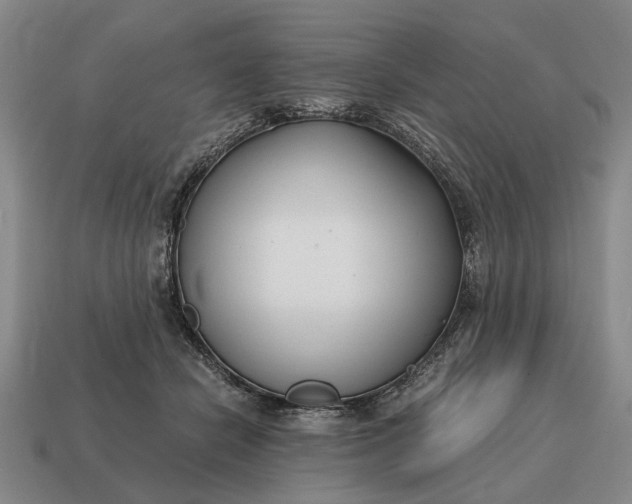 X0000115080462200911101506