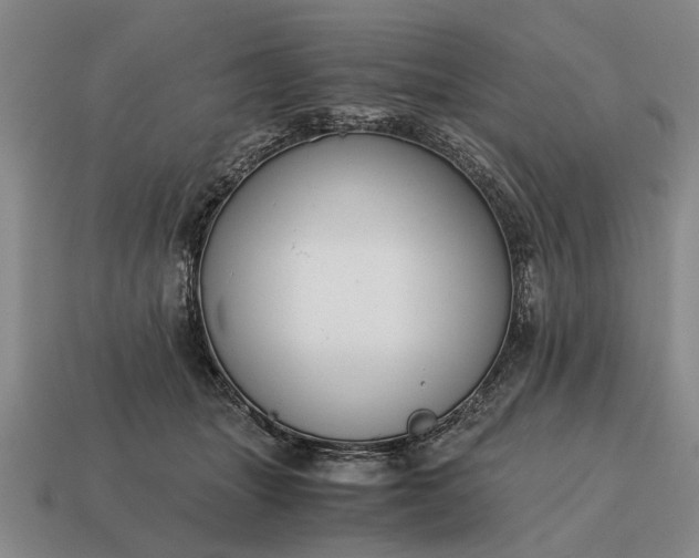 X0000115080463200911101506